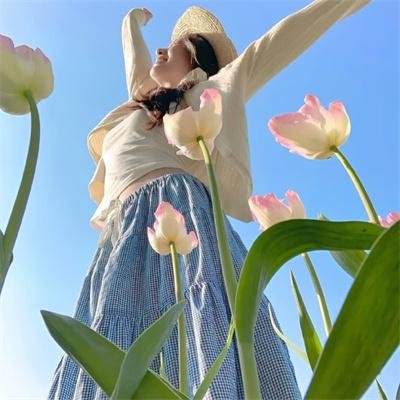 奈特传奇