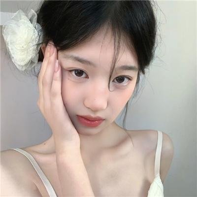 美国哈伦郡